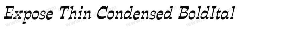 Expose Thin Condensed BoldItalic字体转换